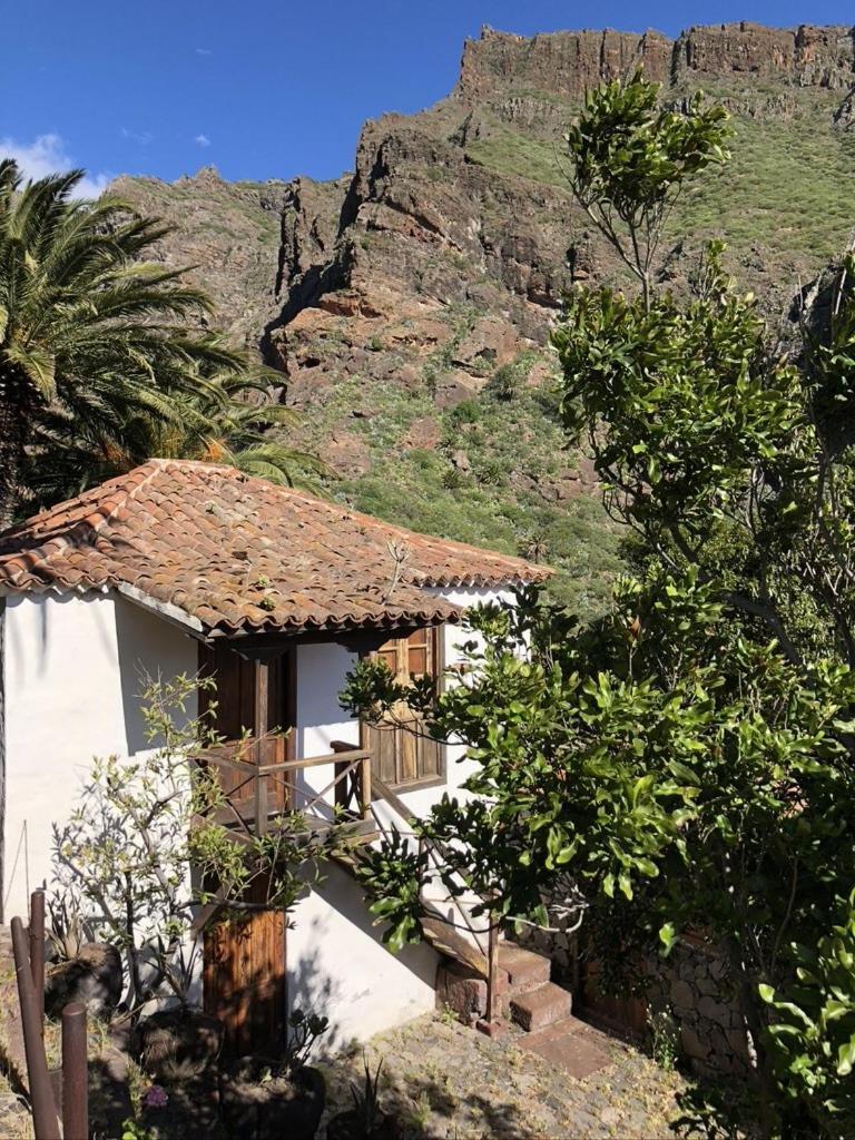 Home2Book El Encanto De La Torre I Санта-Крус-де-Тенерифе Экстерьер фото