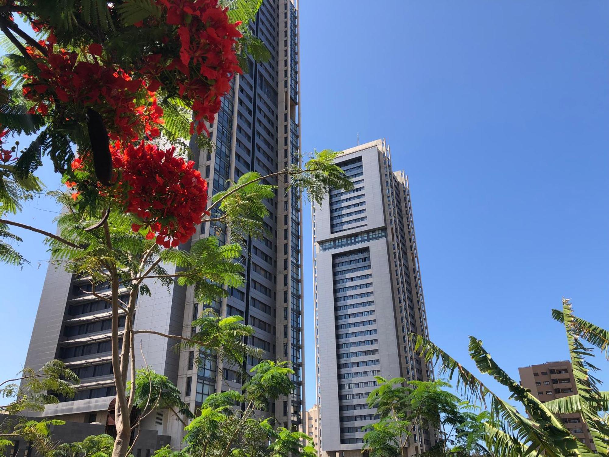 Home2Book El Encanto De La Torre I Санта-Крус-де-Тенерифе Экстерьер фото